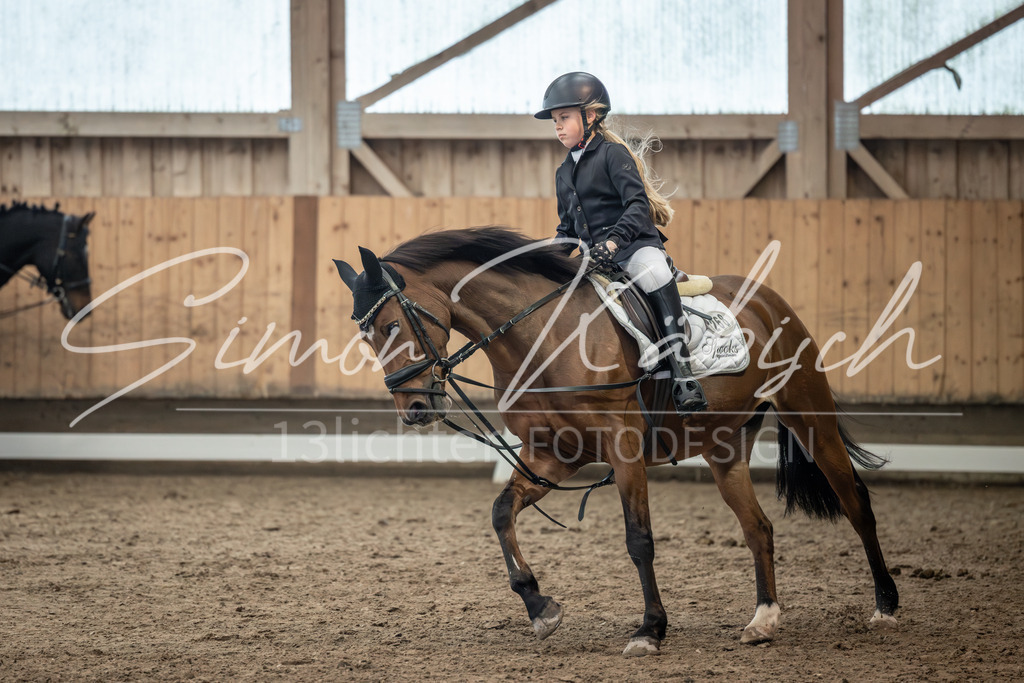 20251011-_3LI8380 | Tierfotografie Pferde, Hunde, Katzen, Haustiere.
Turnierfotografie Reitturniere, Reiten, Springreiten, Dressur in Hanau, dem Main-Kinzig-Kreis und dem Rhein-Main- Gebiet um Frankfurt