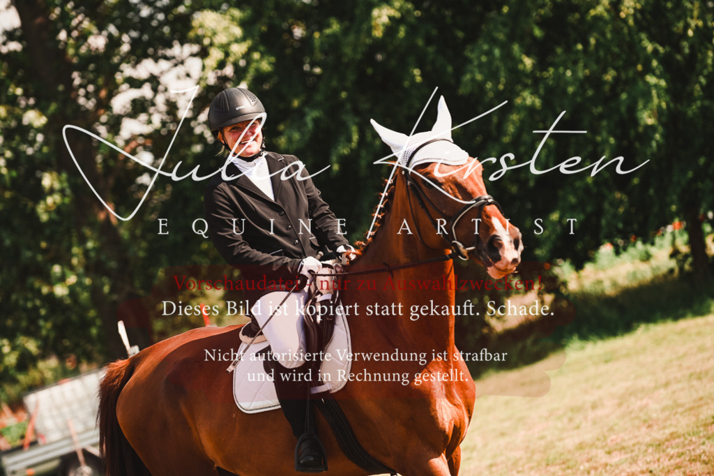 DSC_7307 | Pferde- und Turnierfotografie in Westsachsen. Pferdeportraits, Auftragszeichnungen und intuitive Kunst.