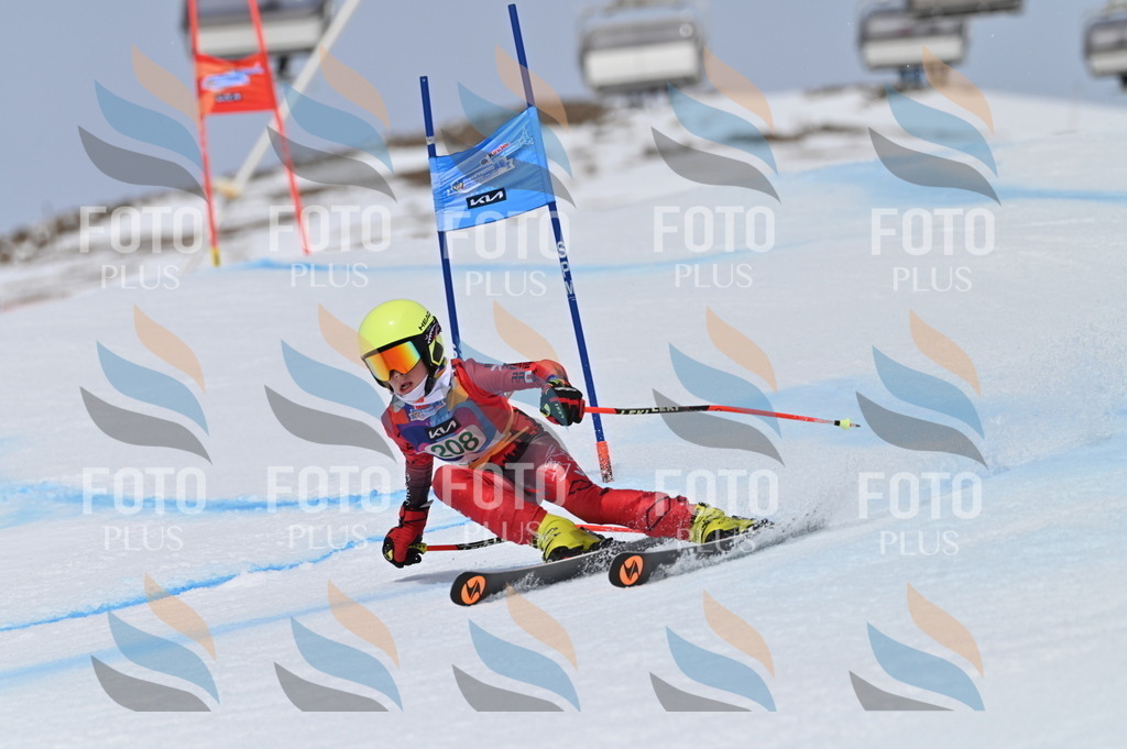 BGV_4019 | holidayphoto