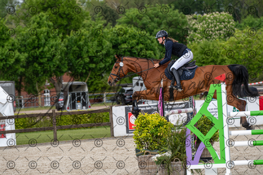 KPT_9905 | andre_photographic