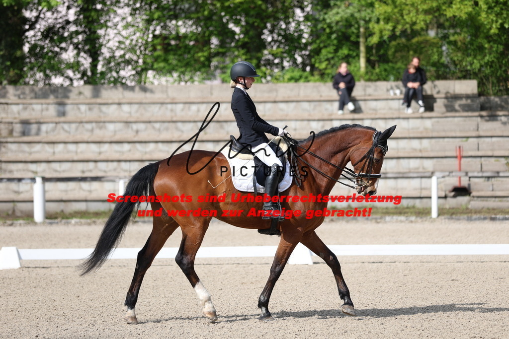 A40A3635 | lmwpictures - Realisiert mit Pictrs.com