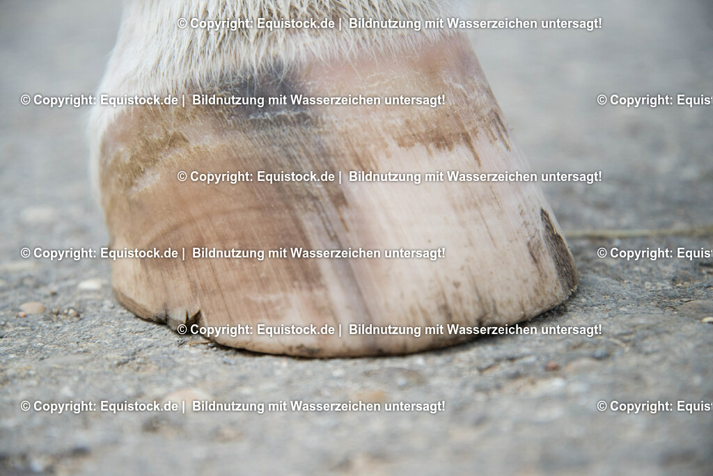 20160626_Ausgefranster_Tragerand_0004 | Foto: Thomas Hartig