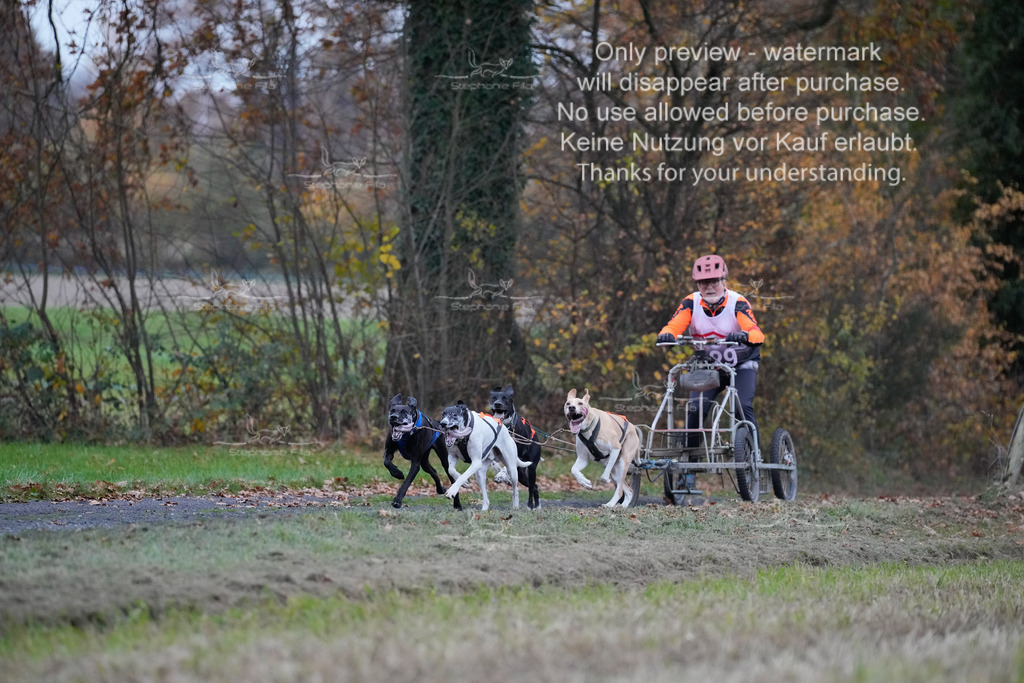 Visbeck_Sa_D4_6-25 | stephaniefillaphotographie - Realisiert mit Pictrs.com