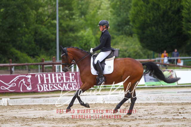 DKP40633 | Turniersportfotografie; Pferdefotografie; Dressurfotografie