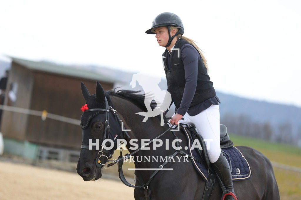 0P6A8387 | Willkommen bei Brunnmayr - Design & Fotografie – Ihrem Spezialisten für Reitturniere und Pferdeveranstaltungen in Oberösterreich, Salzburg und Bayern! Seit über 17 Jahren sind wir leidenschaftlich dabei.