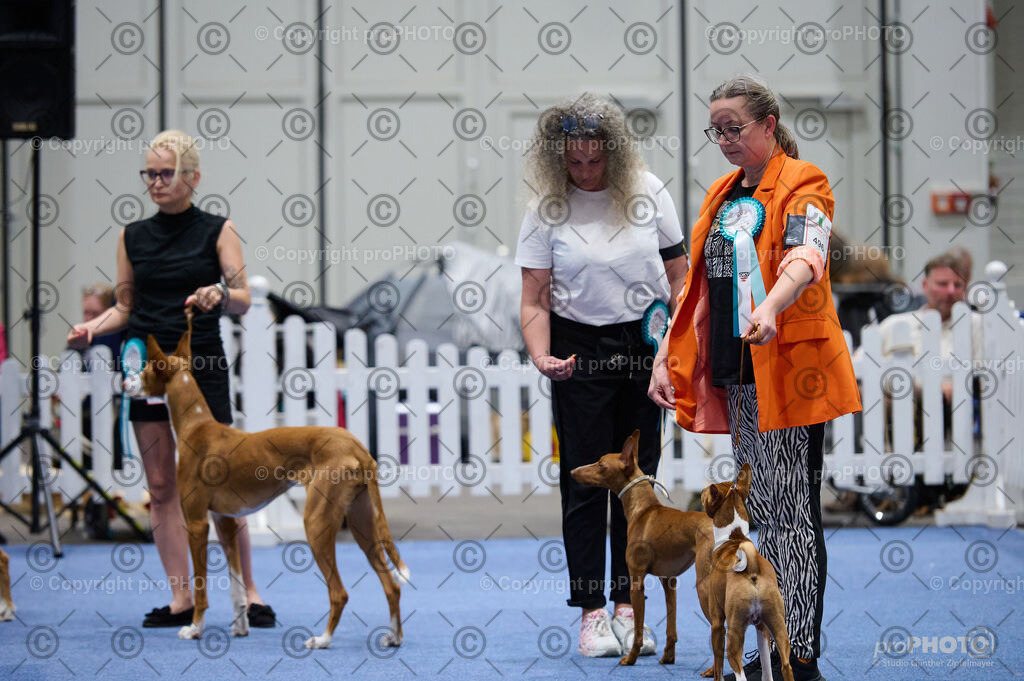 202406_ÖKV-IHA-Tulln24_DSC_3028 | proPHOTO - Realisiert mit Pictrs.com