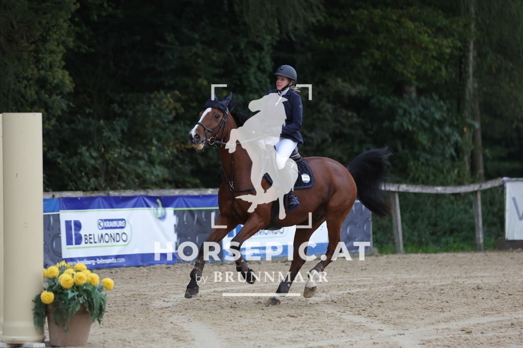 0P6A5090 | Willkommen bei Brunnmayr - Design & Fotografie – Ihrem Spezialisten für Reitturniere und Pferdeveranstaltungen in Oberösterreich, Salzburg und Bayern! Seit über 17 Jahren sind wir leidenschaftlich dabei.