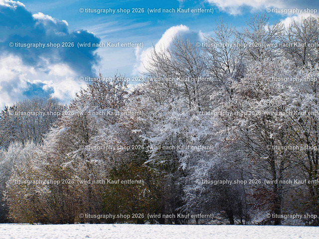 phototitusgraphy Winterimpressionen-Edition 001 | Fotokunstarbeit aus der INSTAGRAM-Gallerie auf titusgraphy.eu - Realisiert mit Pictrs.com
