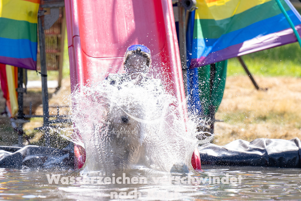 1411_ZZ93924 | kk-dogfotos