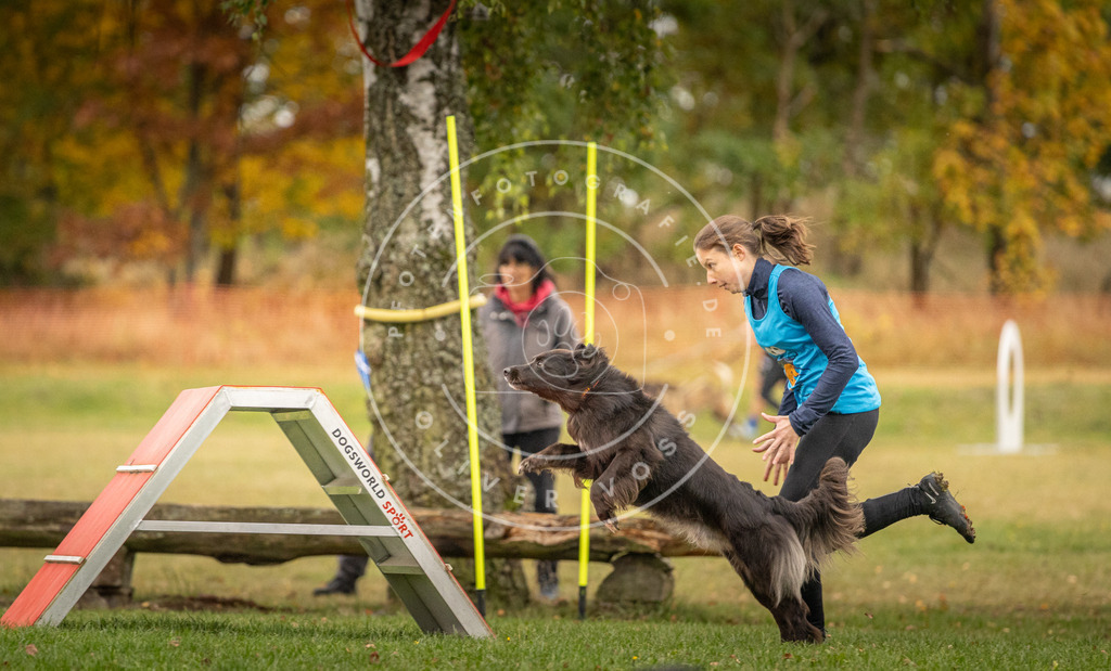 Pfotenfotografie_DV3A7056 | Hundefotografie, Tierfotograf, Pfotenfotografie, Fotoshooting Hund, Hunde Portrait, Hundesport, Hundeportraits, Heideshooting, Hunde, Sportfotograf, Hundefotograf, Turnierhundsport, THS,  - Realisiert mit Pictrs.com