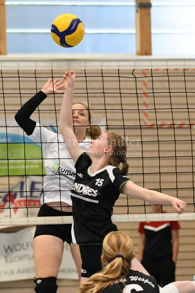 TSV Deggendorf Damen : Wilde Wespen Steinach | TSV Deggendorf Damen : Wilde Wespen Steinach - Realisiert mit Pictrs.com