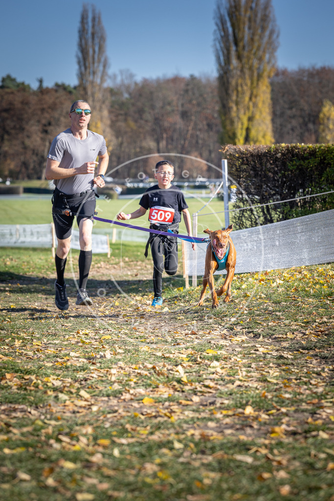 CaniXpix_DV3A7921 | Hundefotografie, Tierfotograf, Pfotenfotografie, Fotoshooting Hund, Hunde Portrait, Hundesport, Hundeportraits, Heideshooting, Hunde, Sportfotograf, Hundefotograf, Turnierhundsport, THS,  - Realisiert mit Pictrs.com