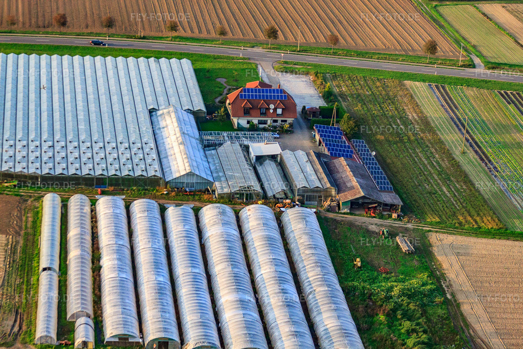 Luftbild: Sandhof mit Gärtnerei Rothenbücher in Herxheim bei Landau im Bundesland Rheinland-Pfalz in Deutschland. Foto: IMG_59962.jpg vom 27.09.2013 durch Werner Riehm/FLY-FOTO.de
