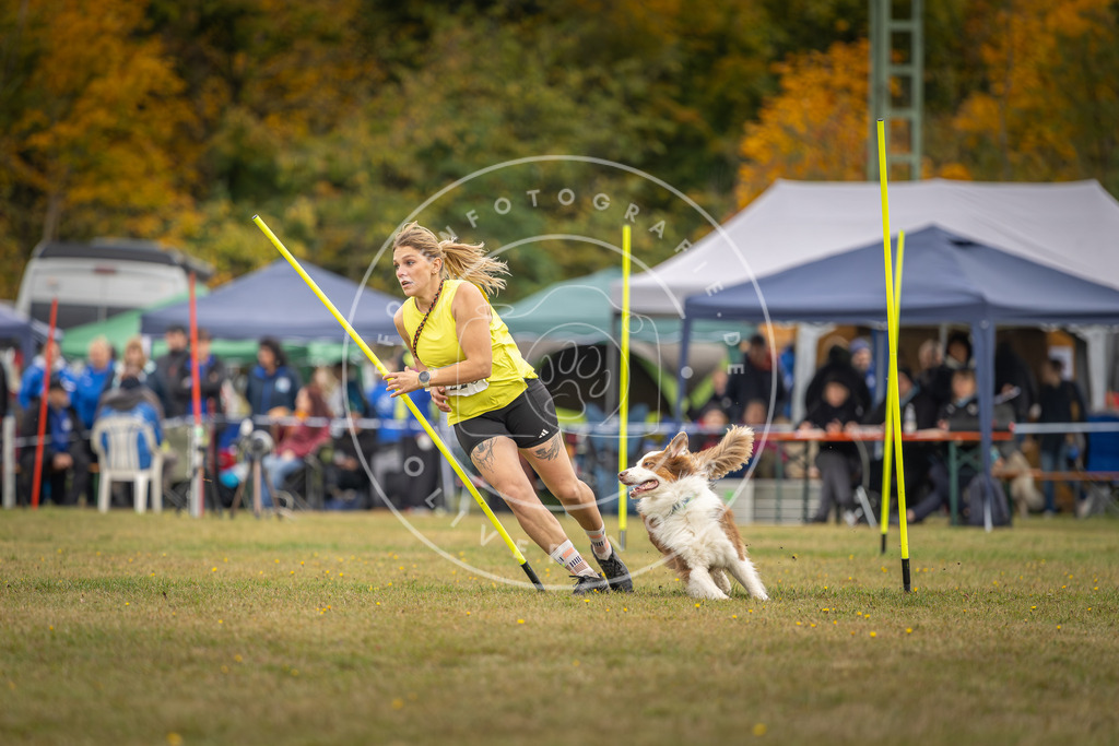 Pfotenfotografie_DV3A3696 | Hundefotografie, Tierfotograf, Pfotenfotografie, Fotoshooting Hund, Hunde Portrait, Hundesport, Hundeportraits, Heideshooting, Hunde, Sportfotograf, Hundefotograf, Turnierhundsport, THS,  - Realisiert mit Pictrs.com