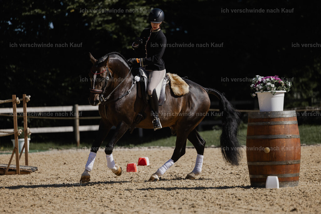 Virginie12FHC2025-27604 | working equitationturnier fotograf videograf stoibphotography marixx film working equitation deutschland reitsport turnierfotografie eventfotografie equestrian events