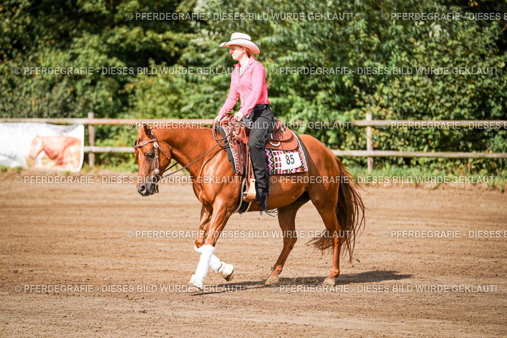 DSC09331 | Pferdegrafie