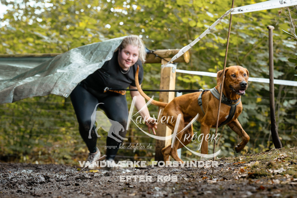 1427DZ6_2085Z6 | kk-dogfotos