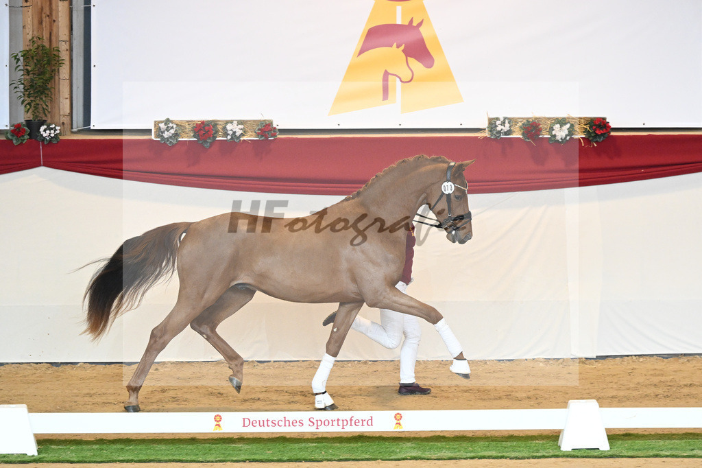Kat-Nr. 73 Vaderland_Galneder_1230416 | hf-fotografie - Realisiert mit Pictrs.com