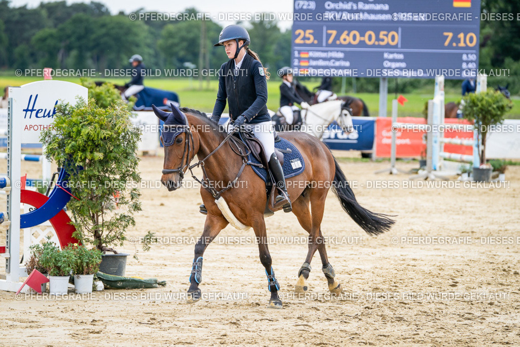 DSC05499 | Pferdegrafie