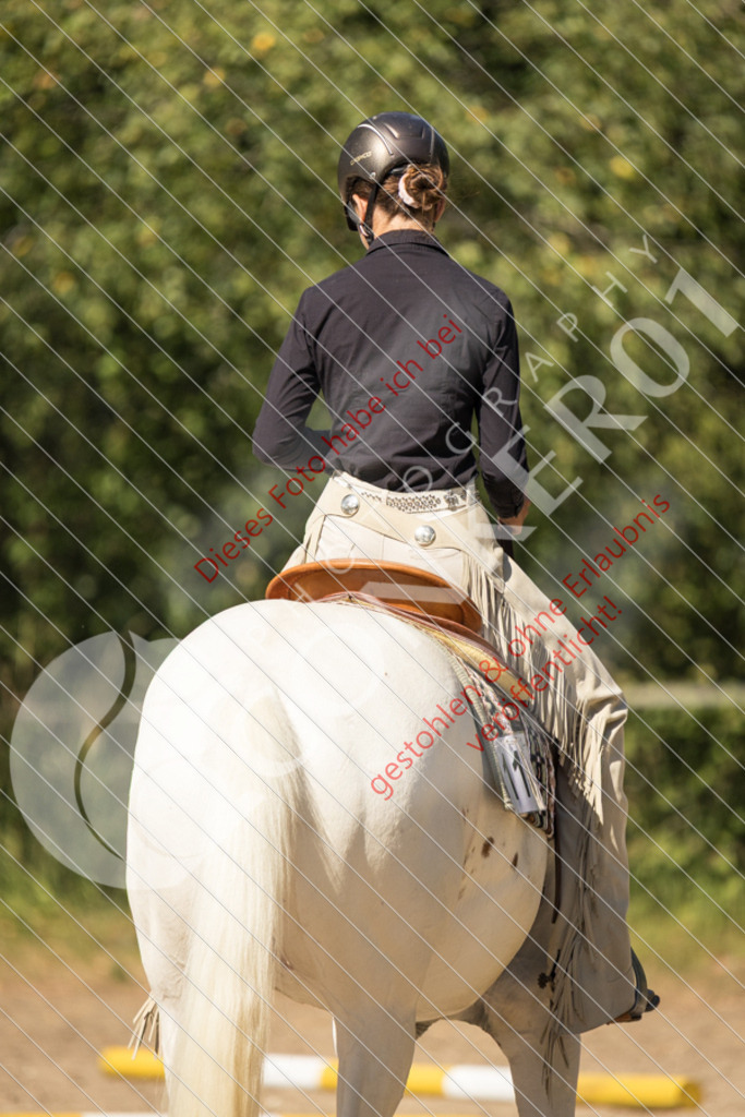 IMG_7701 | Sport-, Event- und Tierfotos in Profiqualität. Einfach auswählen, bestellen und herunterladen. Dein Moment – perfekt festgehalten.
