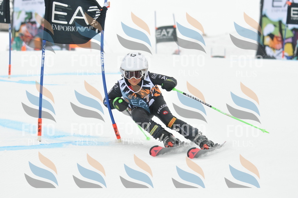 DSC_7699 | holidayphoto