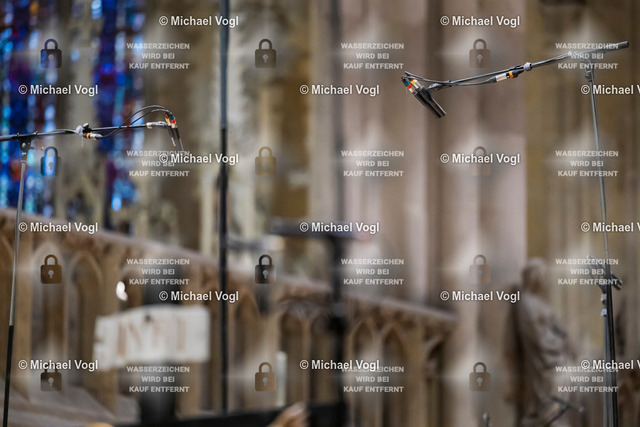 TAM25_K.01__Michael-Vogl_038_4219 | Tage Alter Musik Regensburg K.00 Dom St. Peter Regensburger Domspatzen La Cetra Basel (Schweiz) 1050 Jahre Regensburger Domspatzen 500. Geburtstag Giovanni Pierluigi da Palestrina Leitung Christian Heiß Foto: Michael Vogl