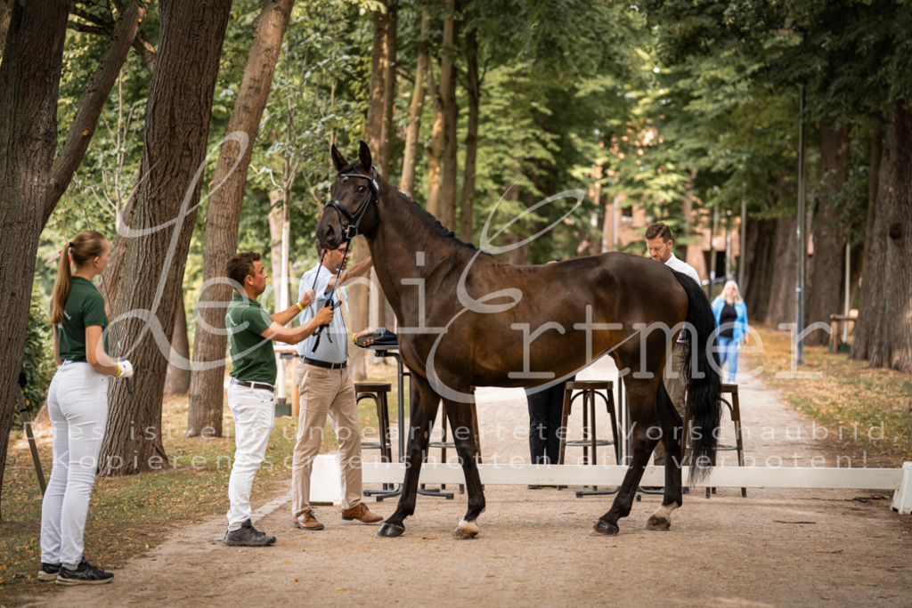 FrPfM00042 | Leoni Ertmer Photography - Realisiert mit Pictrs.com