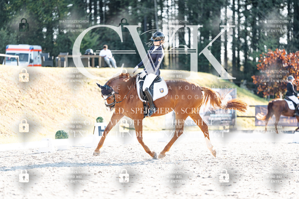 CK906855 | Turnierfotografie Pferdefotografie Trier Rheinland-Pfalz Pferdesport Reitsport Tierfotografie Sportfotografie Pferdevideo Pferdevideografie Equestrianvideography equestrianphotography  - Realisiert mit Pictrs.com
