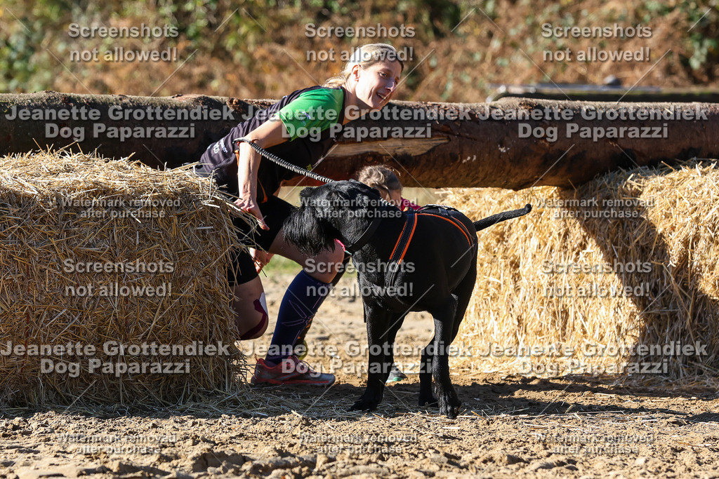 Dog Paparazzi - Strongdog 10-25-2741 | Dog Paparazzi Jeanette Grottendiek Fotografie & Videografie - Realisiert mit Pictrs.com