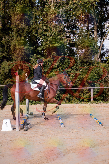 2026_10_03_Siefer-Hof_143436_Z81_02372314 | Professionelle Reitsport-, Turnier- und Eventfotografie von Robert Broda. Galerien mit ausgewählten und bearbeiteten Bildern direkt online ansehen und bestellen.