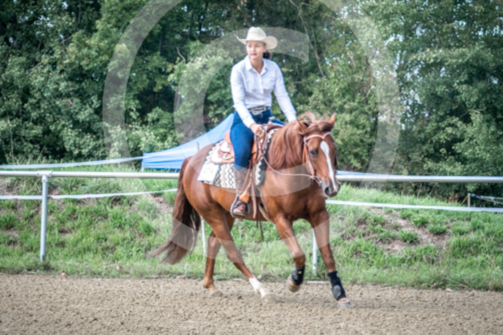 HEB07844 | BS-foto