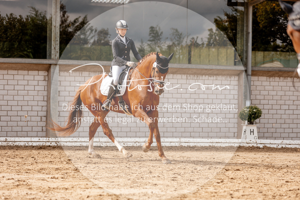 3I6A7222 | Stimmungsvolle Portraits und Reitsportfotografie im Ruhrgebiet und im Münsterland.

Pferdefotografie, Hundefotografie, Tierfotografie, Reportagen, Portraits von Tier und Mensch, Turnierfotografie in Bochum, Recklinghausen, Marl, Haltern am See, Dülmen.. - Realisiert mit Pictrs.com