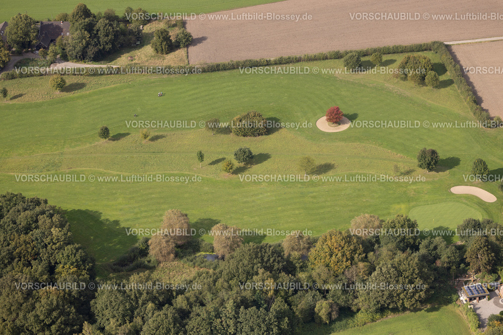 Huenxe250904126 | Luftbild, Rot-Ahorn Baum auf einer grünen Wiese, An den Höfen, Formen und Farben, Bruckhausen, Hünxe, Ruhrgebiet, Nordrhein-Westfalen, Deutschland