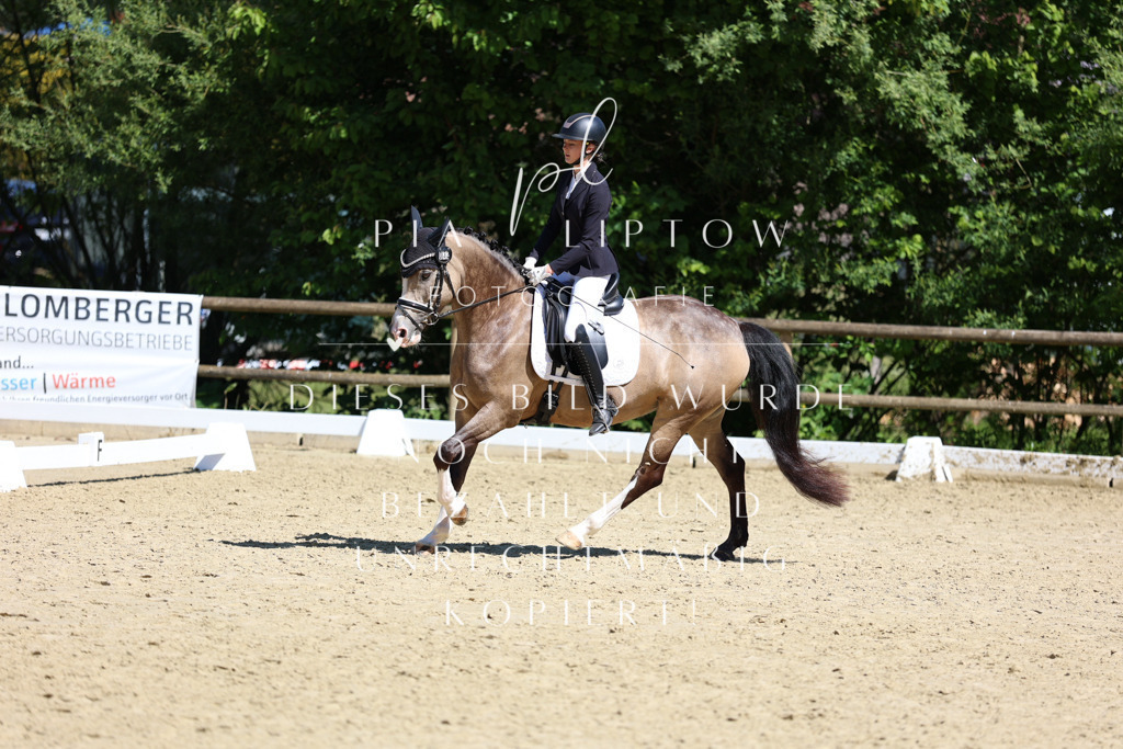 IMGS0787 | pl-fotografie