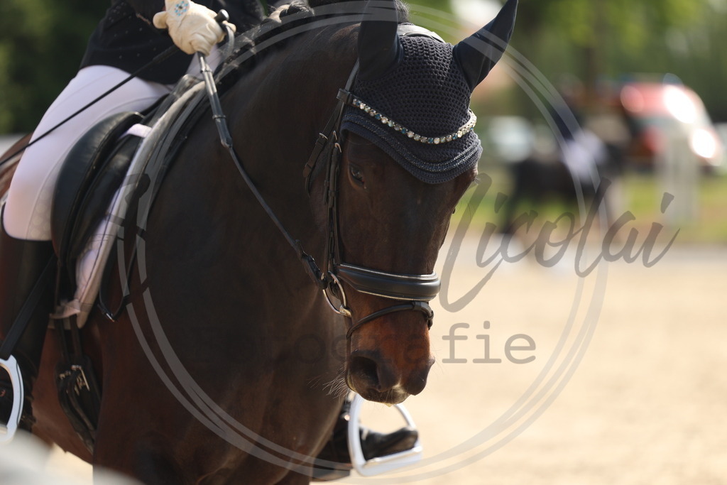 994A6609 | sabrinanicolaifotografie - Realisiert mit Pictrs.com