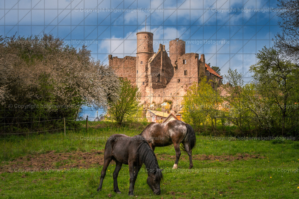 Burg Hanstein mit Pferden | Kaufen sie online außergewöhnliche Fotografien auf Leinwand Acrylglas Fotoprint Aludibond von holgerweigeltfotografie - Realisiert mit Pictrs.com