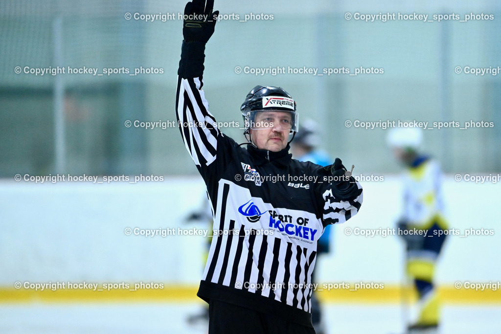 BST_6604 | hockey sports photos, Pressefotos, Sportfotos, hockey247, win 2day icehockeyleague, Handball Austria, Floorball Austria, ÖVV, Kärntner Eishockeyverband, KEHV, KFV, Kärntner Fussballverband, Österreichischer Volleyballverband, Alps Hockey League, ÖFB, 