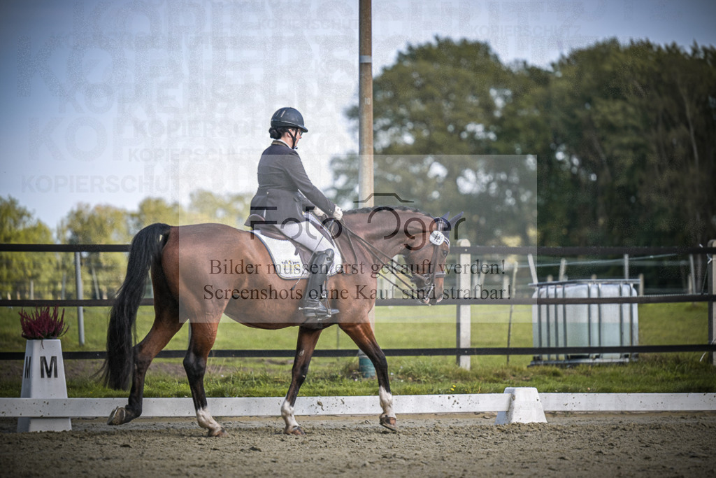 DOS_0951 | Entdecke hochwertige Reitturnierfotos von Foto Oger. Professionell, emotional und authentisch – jetzt Lieblingsmomente im Shop bestellen.Deutschlandweite Turnierfotografie. - Realisiert mit Pictrs.com
