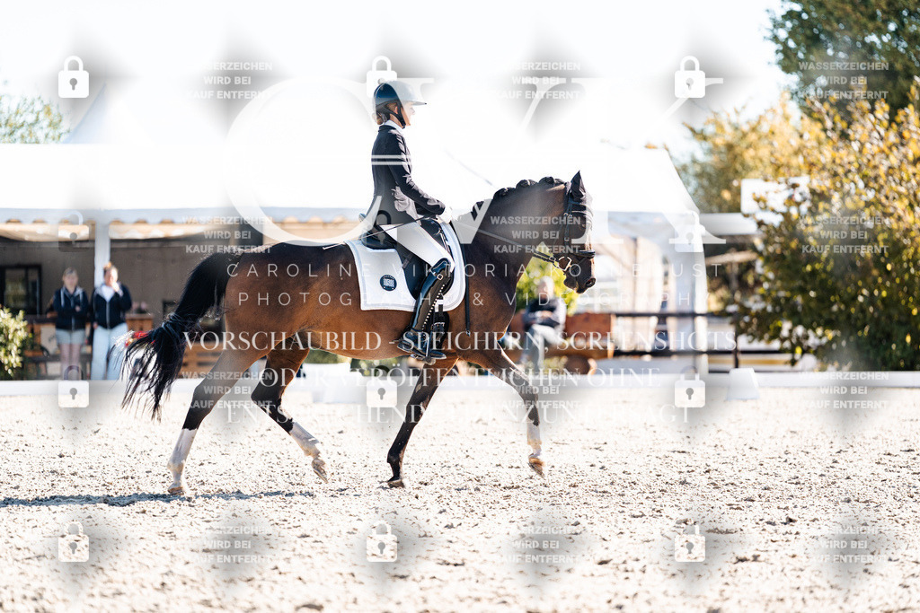 CK908586 | Turnierfotografie Pferdefotografie Trier Rheinland-Pfalz Pferdesport Reitsport Tierfotografie Sportfotografie Pferdevideo Pferdevideografie Equestrianvideography equestrianphotography  - Realisiert mit Pictrs.com