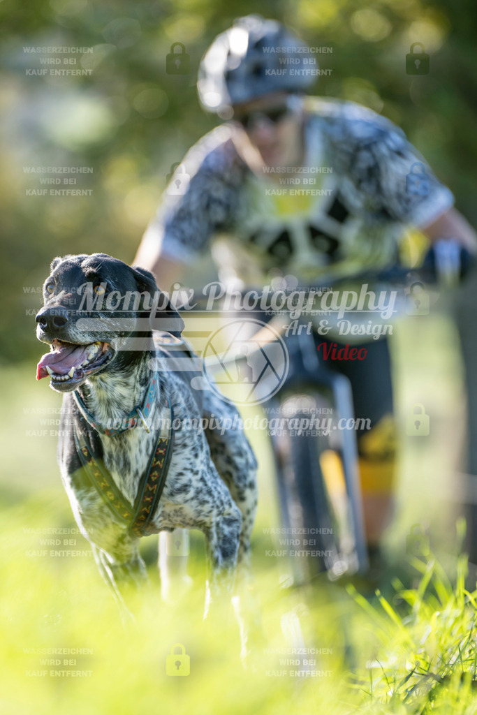 MompixPhotography_20TSB_E3_DS1-7 | PayLife