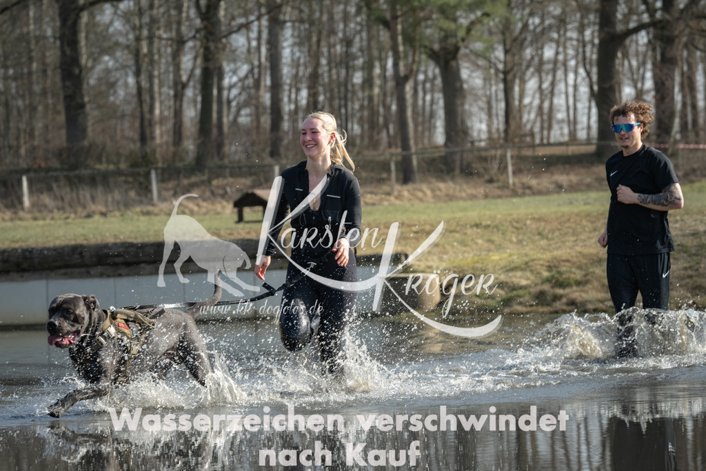 1309_ZZ94906 | kk-dogfotos