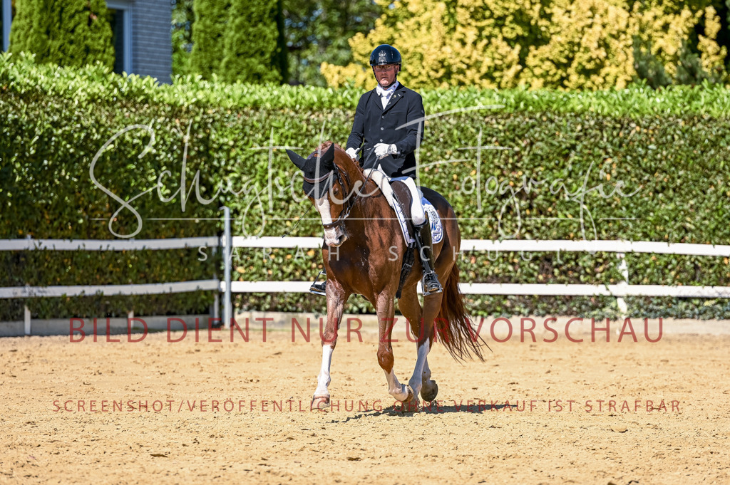 Schugtsche-Aluta25-50.Dressurpferdeprf.L-21 | Schugtsche Fotografie - Realisiert mit Pictrs.com