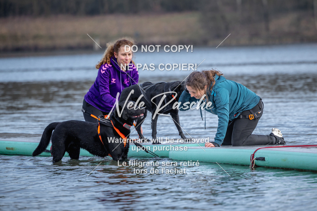 nelerasche_Hulsbeek_Sa1600-1700_633 | nelerasche