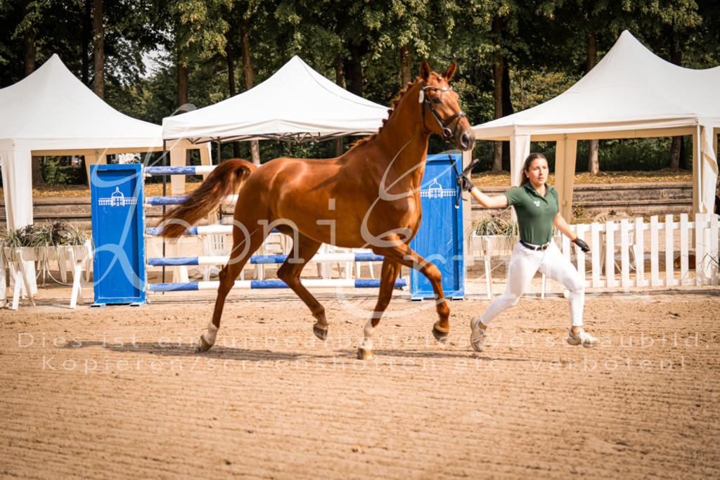 FrER00070 | Leoni Ertmer Photography - Realisiert mit Pictrs.com