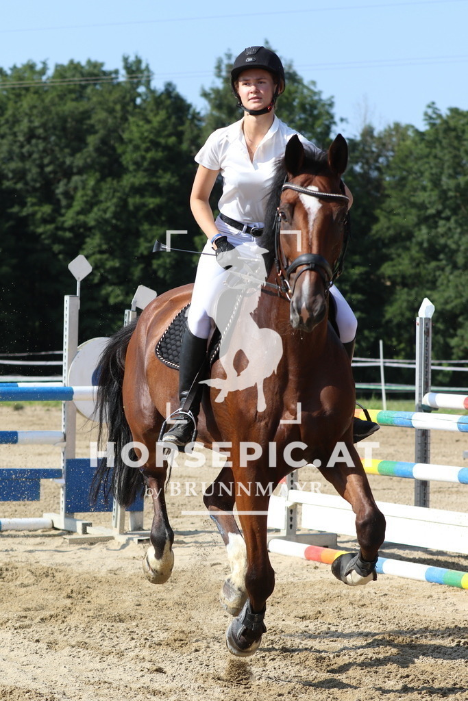 7V2A3833 | Willkommen bei Brunnmayr - Design & Fotografie – Ihrem Spezialisten für Reitturniere und Pferdeveranstaltungen in Oberösterreich, Salzburg und Bayern! Seit über 17 Jahren sind wir leidenschaftlich dabei.