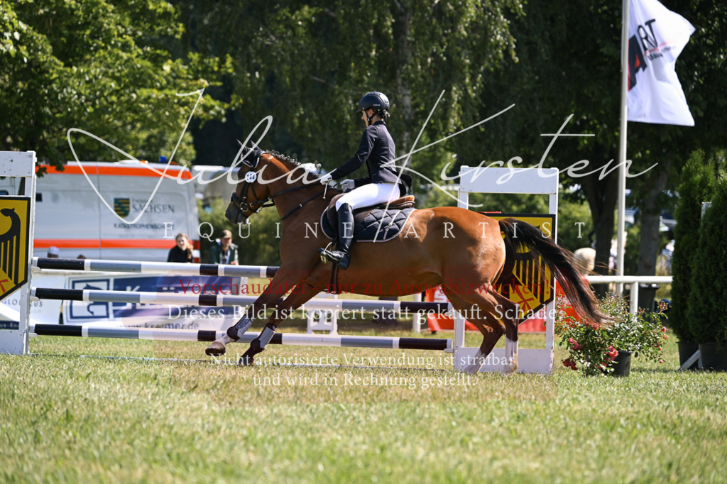 DSC_8707 | Pferde- und Turnierfotografie in Westsachsen. Pferdeportraits, Auftragszeichnungen und intuitive Kunst.