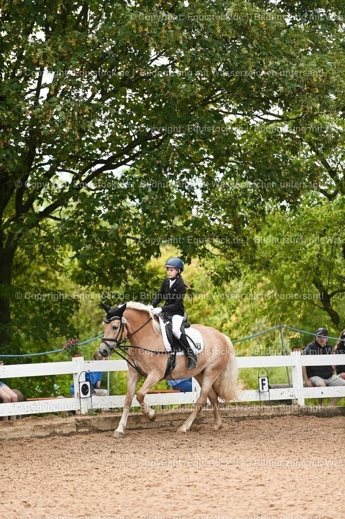 20230716_10-2_Reiter-WB Schritt - Trab - Galopp_0046 | equistock