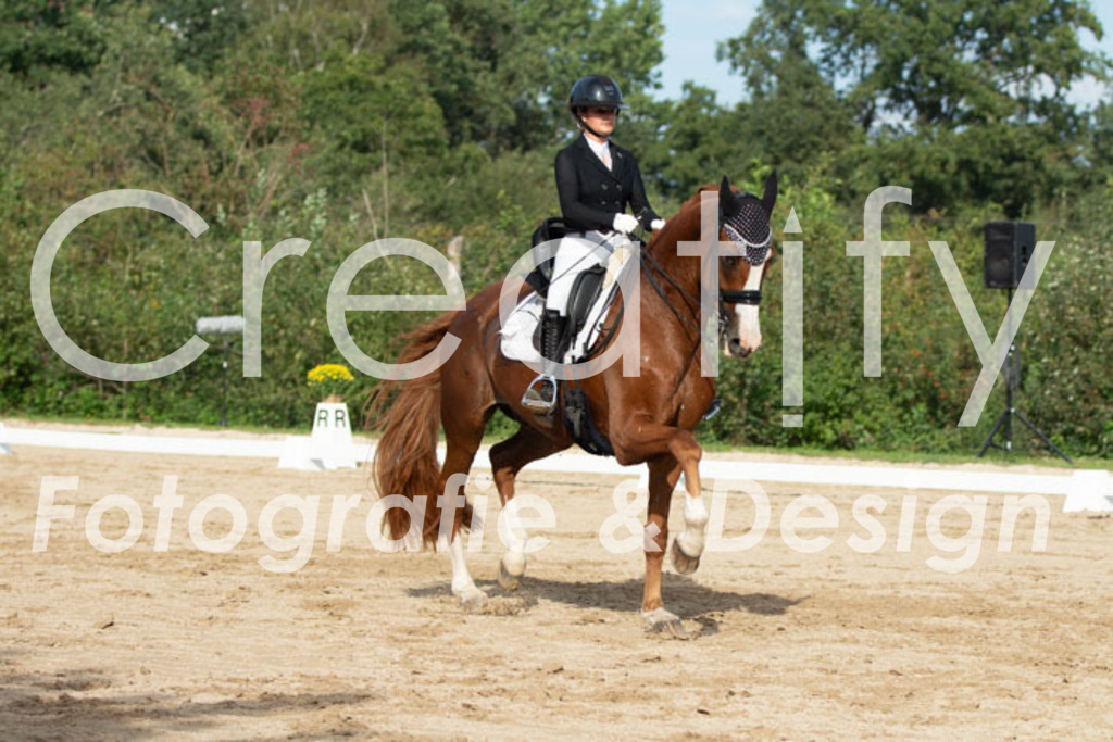 IMG_4232 | Creatify Fotografie