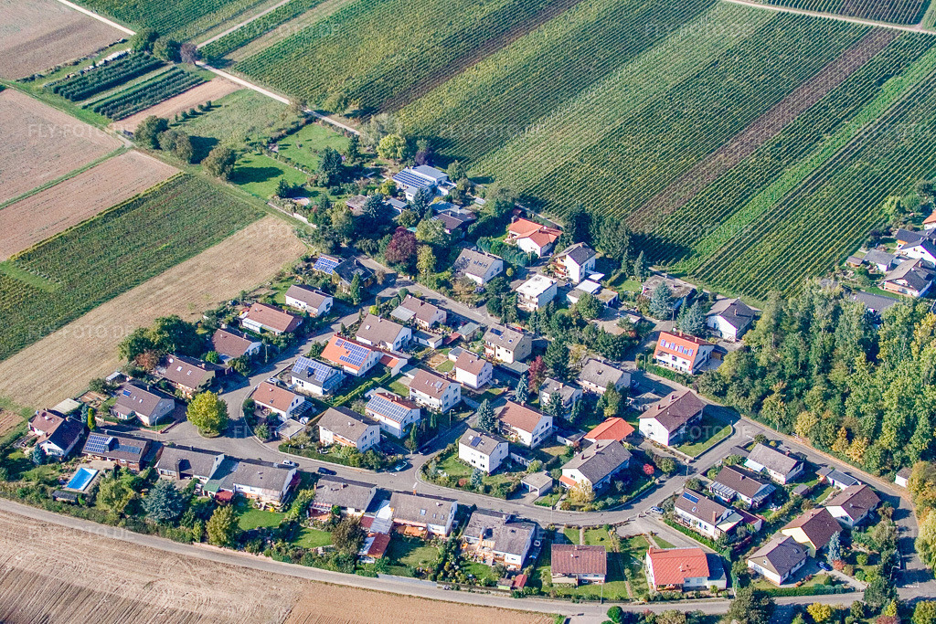 Luftbild: Am Großgarten im Ortsteil Mörzheim in Landau im Bundesland Rheinland-Pfalz in Deutschland. Foto: IMG_8439.jpg vom 06.10.2007 durch Werner Riehm/FLY-FOTO.de