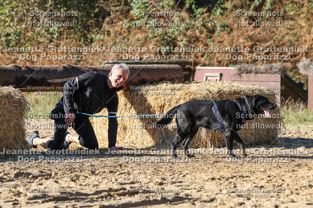 Dog Paparazzi - Strongdog 10-25-2421 | Dog Paparazzi Jeanette Grottendiek Fotografie & Videografie - Realisiert mit Pictrs.com